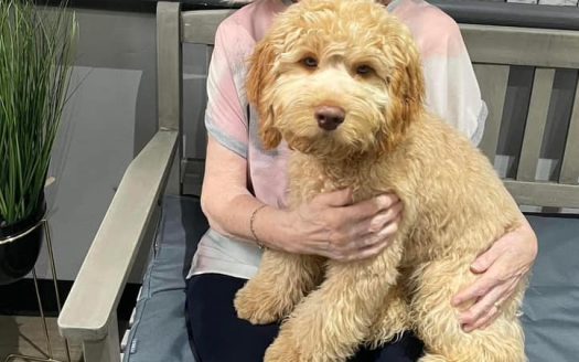 Redworth House Care Home