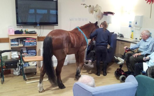 The Uplands Care Home