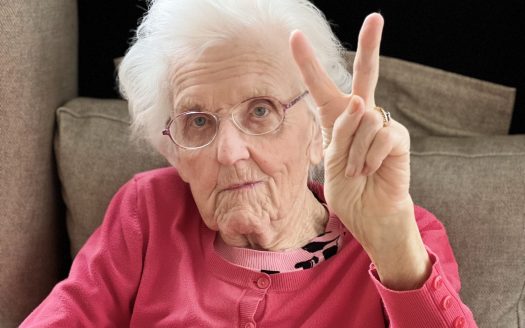 The Mount Nursing Home